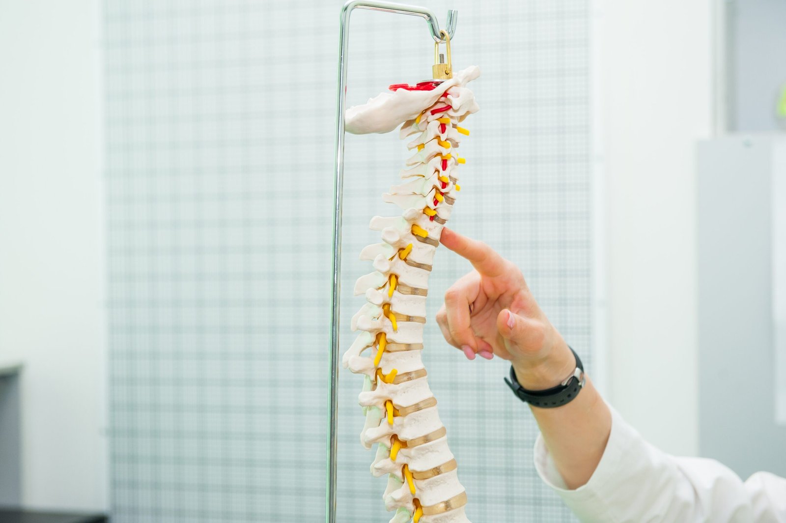 Car Accident Chiropractic